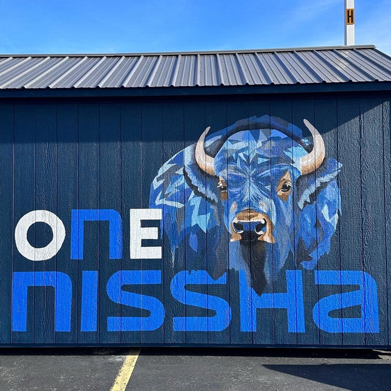 Buffalo-Mural.jpg